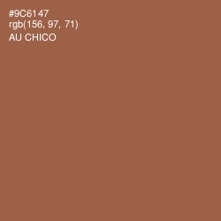 #9C6147 - Au Chico Color Image
